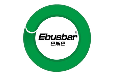 巴斯巴选择了科辰微电机